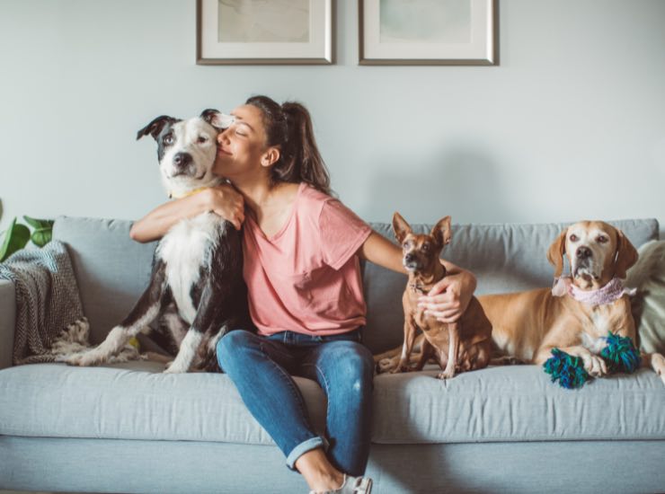 Una ragazza con i suoi cani